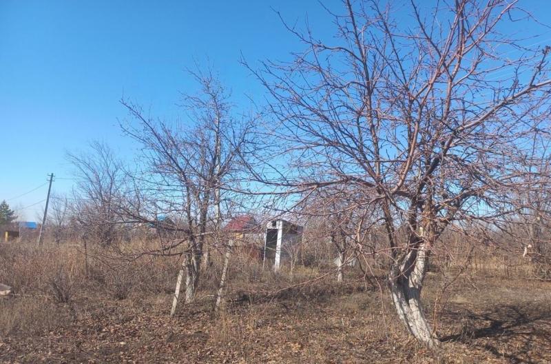 Продам участок в Верхнеуральском районе