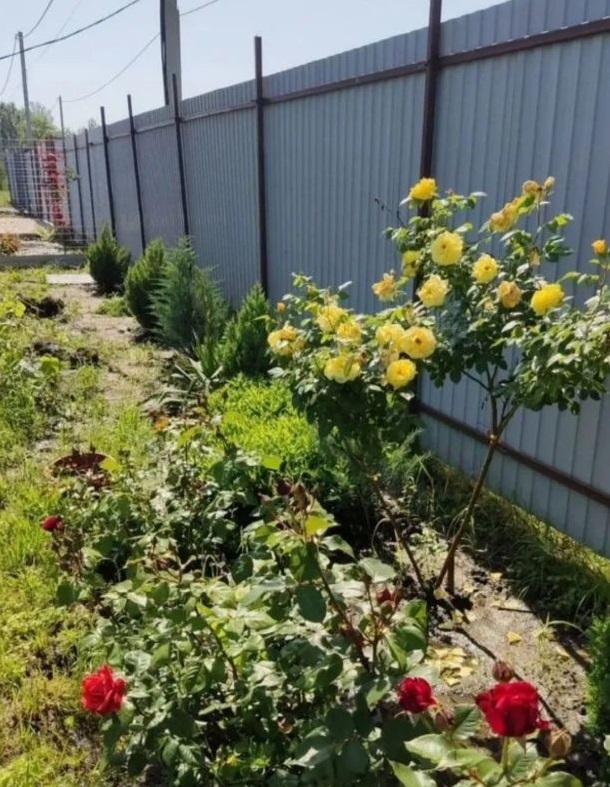 Продам дачу в Багаевском районе