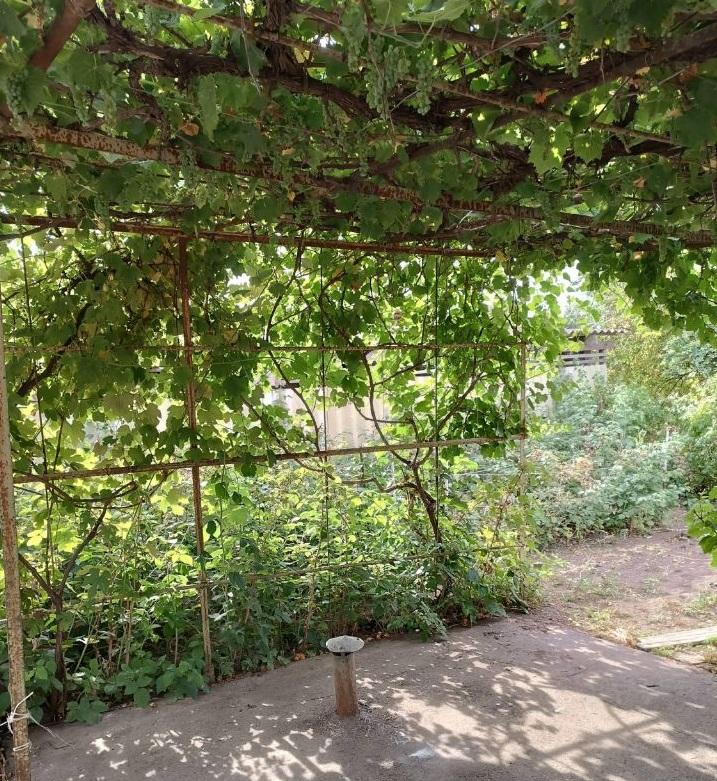 Сдается коттедж в Зерноградском районе