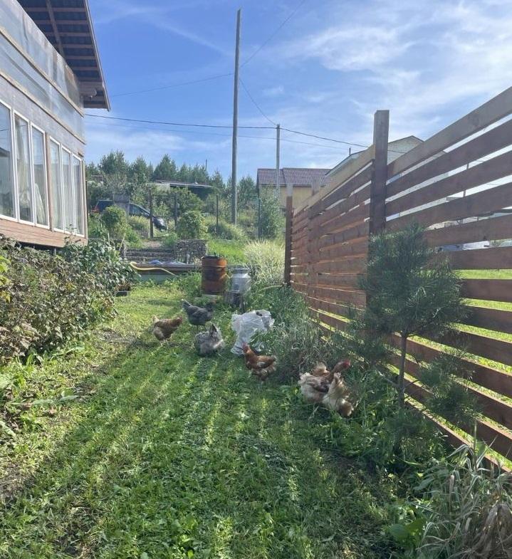 Продам дачу в Берёзовском районе