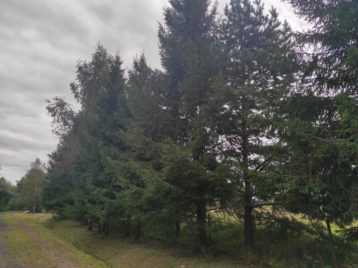 Продам дом в Волоколамском районе в Амельфино в СТ