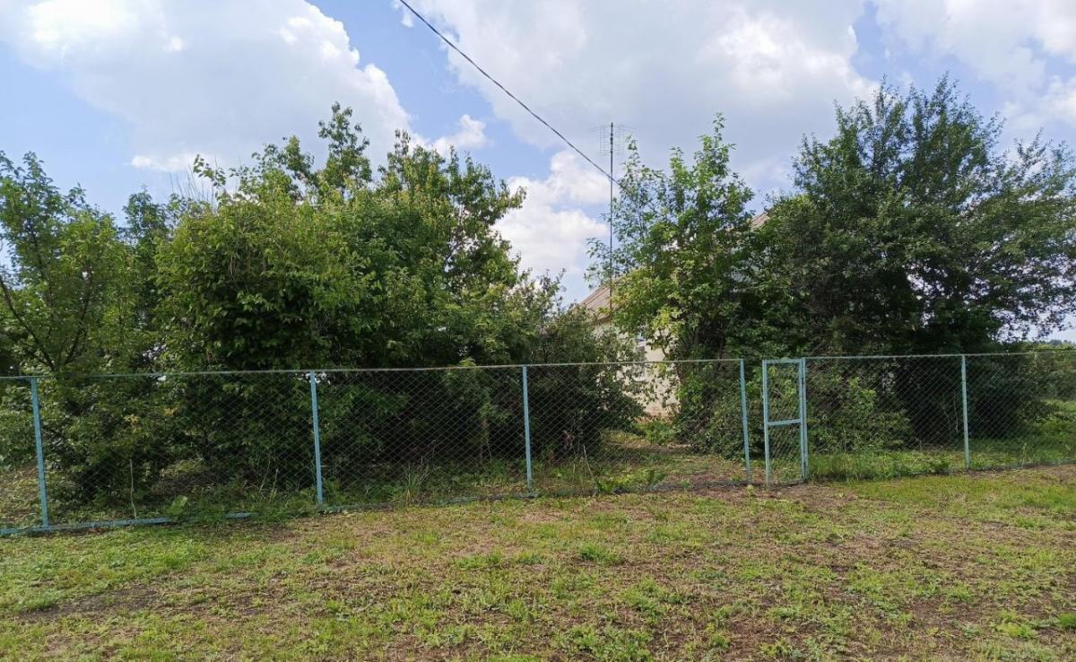 Продам дачу в Панинском районе