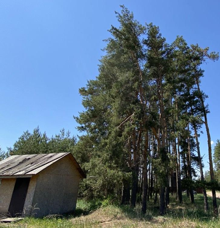 Продам участок в Рамонском районе