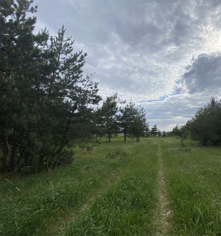 Продам участок в Рамонском районе