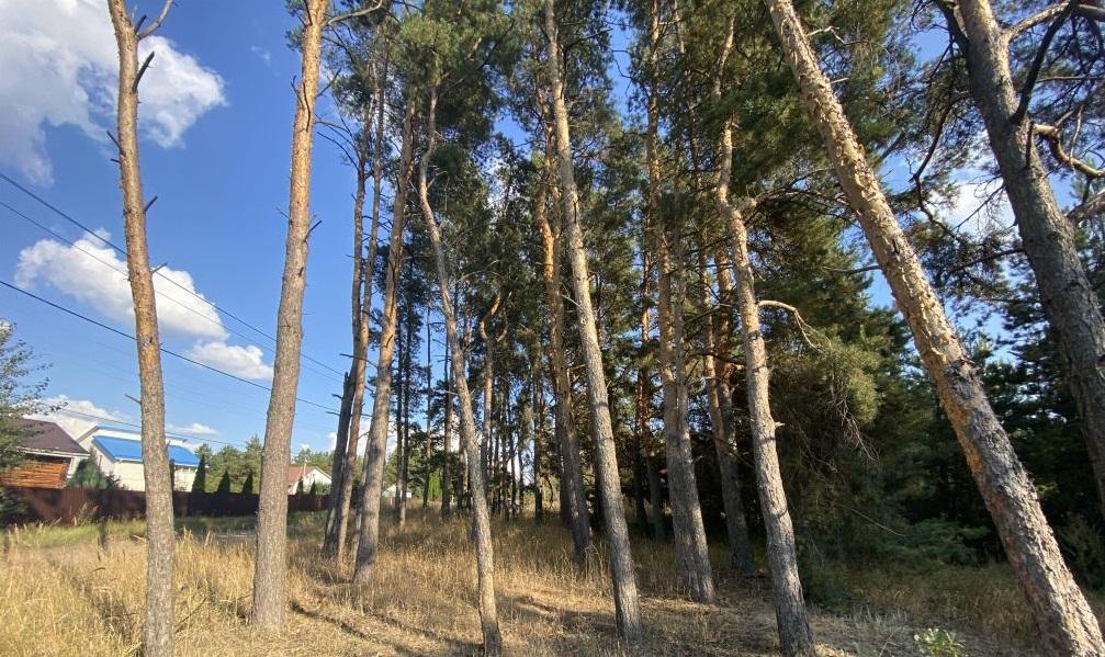 Продам участок в Рамонском районе
