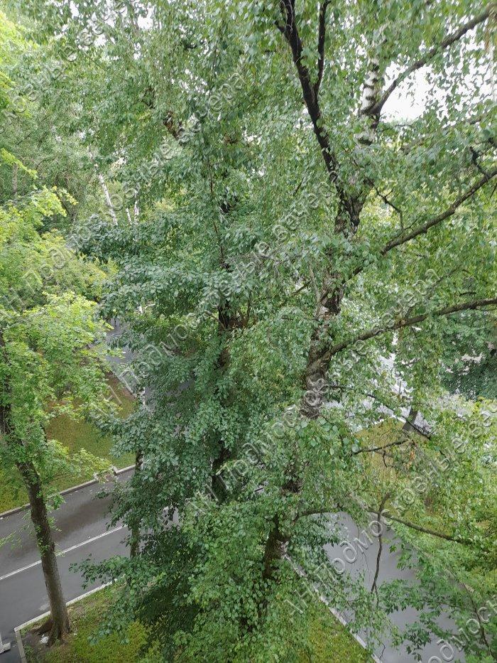 Продам 2-комнатную квартиру в Москве в Южный р-не, 46к1