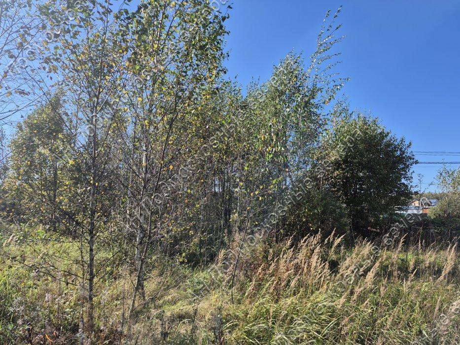 Продам участок в Блазново