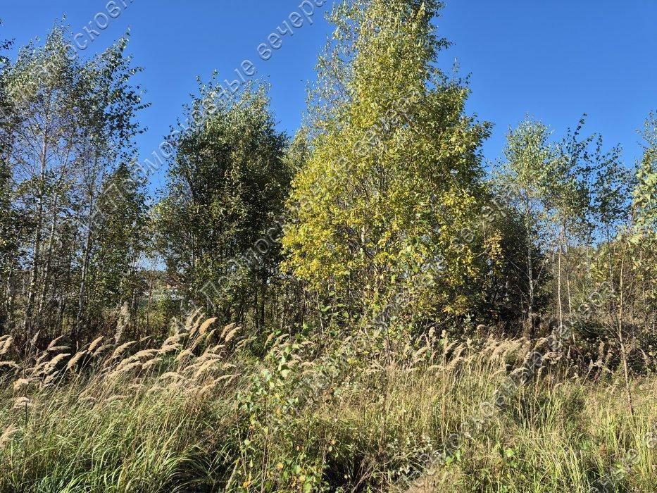 Продам участок в Блазново