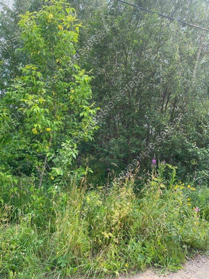 Продам участок в Брехово