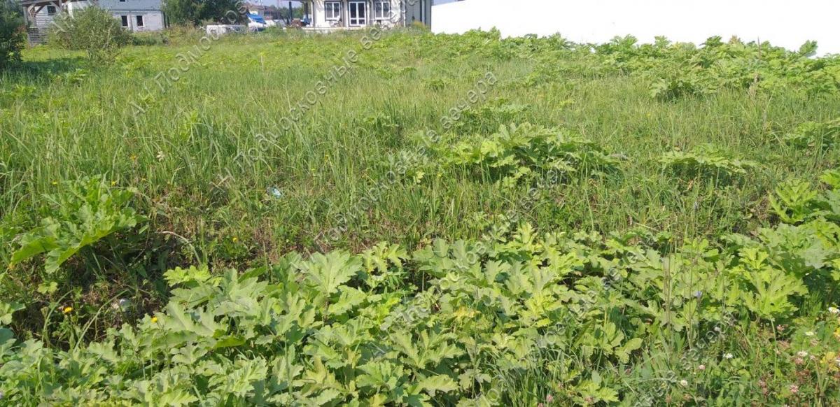 Продам участок в Еремеево