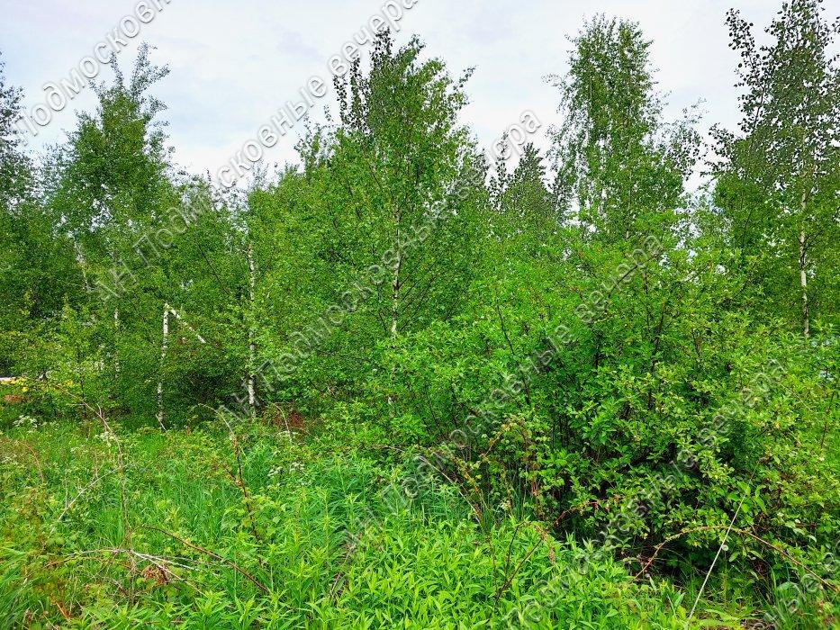 Продам участок в Солнечногорском районе в Марьино