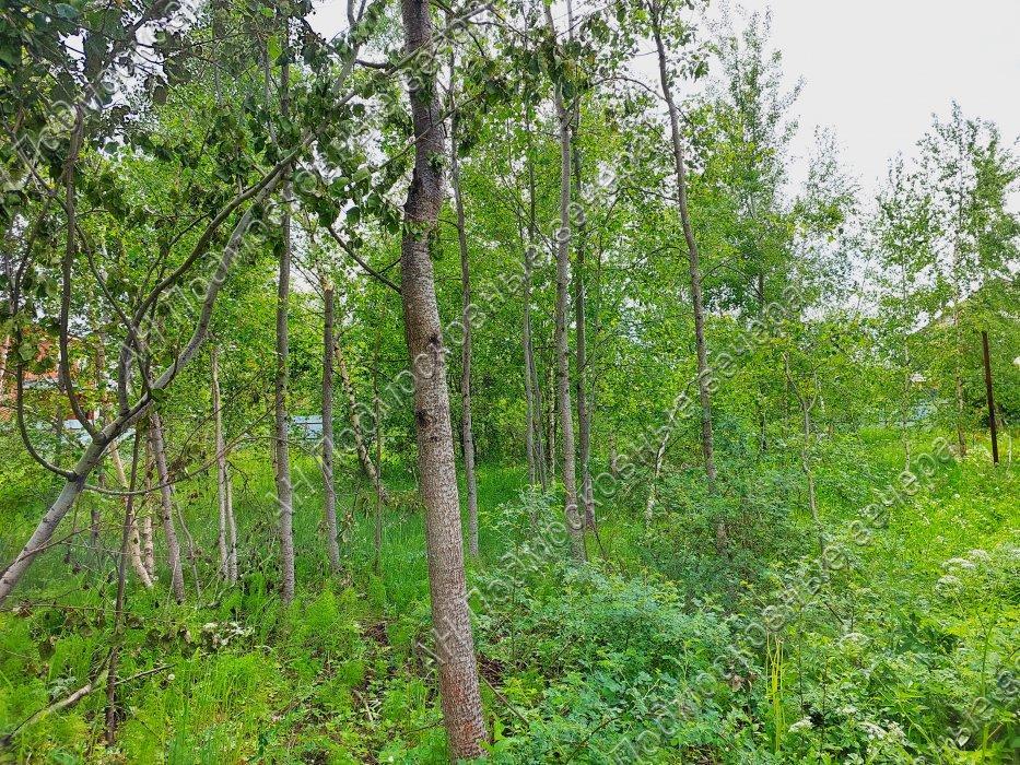 Продам участок в Солнечногорском районе в Марьино