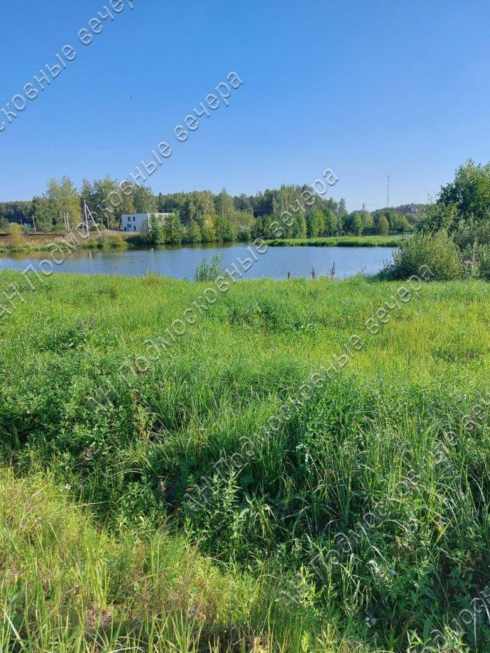 Продам участок в Дмитровском районе в Редькино