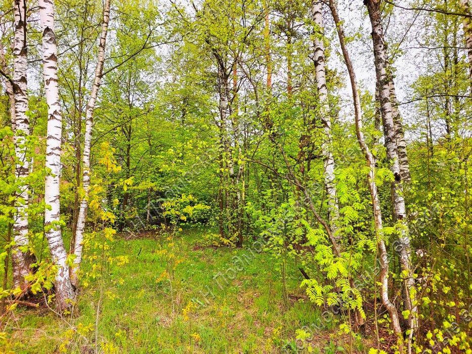 Продам участок в Красногорском районе в Красногорск