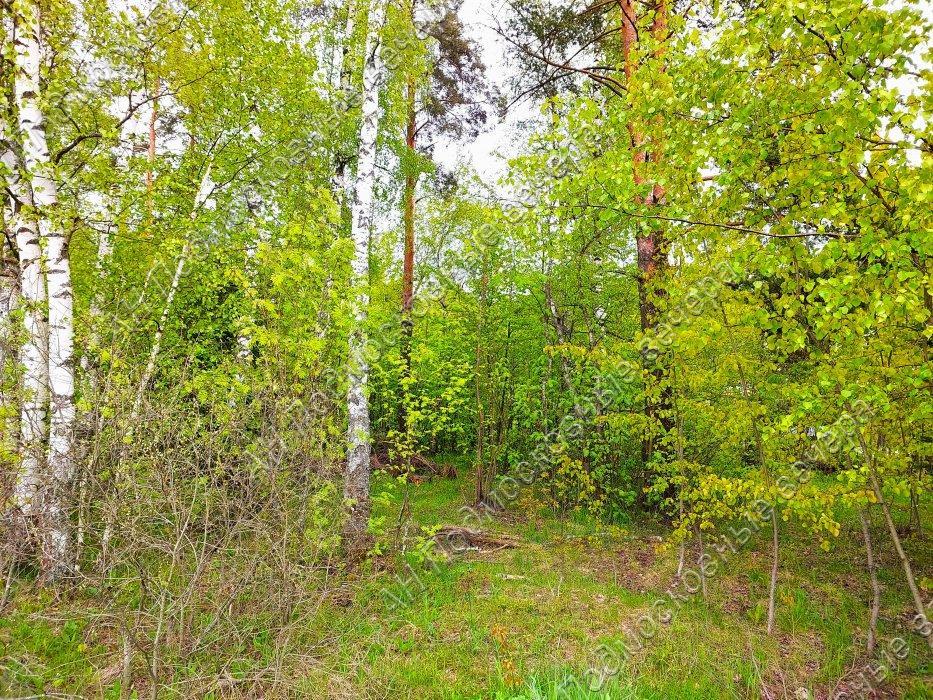 Продам участок в Красногорском районе в Красногорск