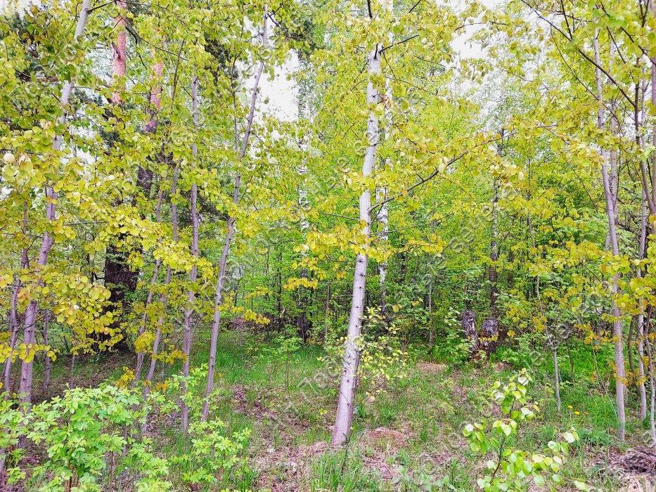 Продам участок в Красногорском районе в Красногорск