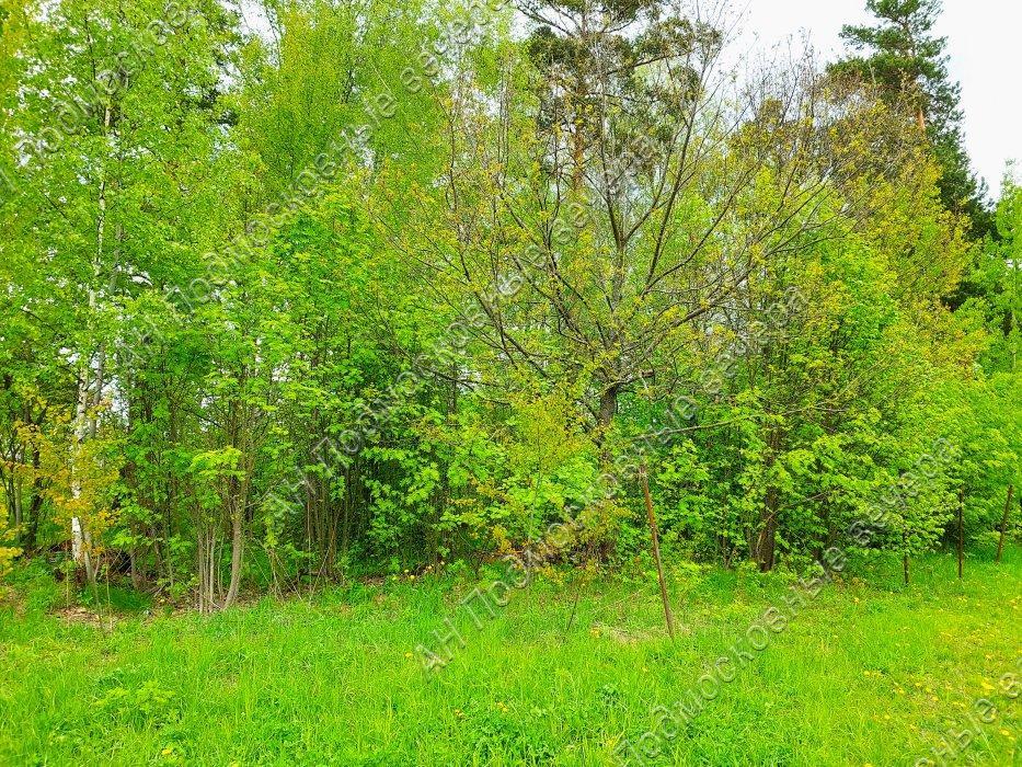 Продам участок в Красногорском районе в Красногорск