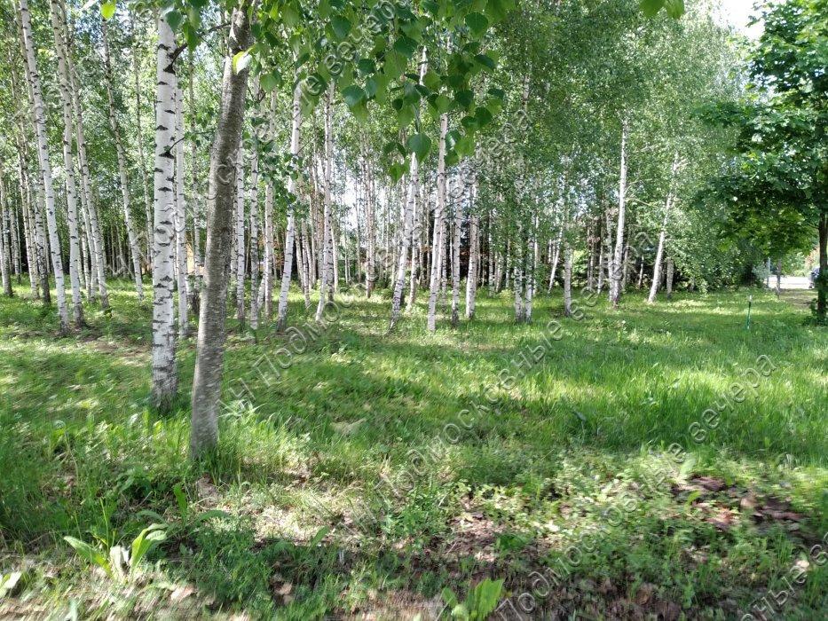 Продам участок в Истринском районе в Лисавино