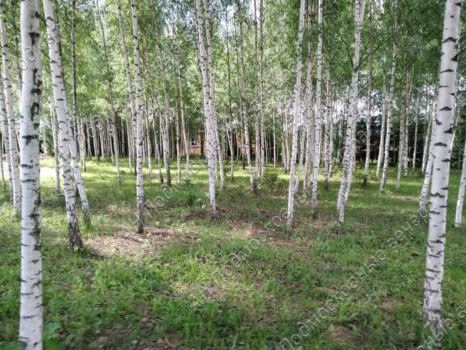 Продам участок в Истринском районе в Лисавино