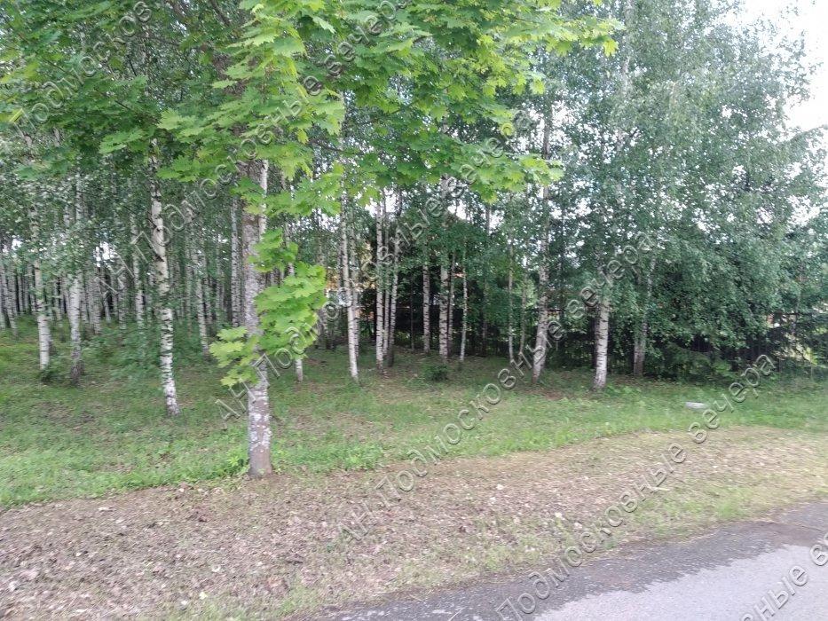 Продам участок в Истринском районе в Лисавино