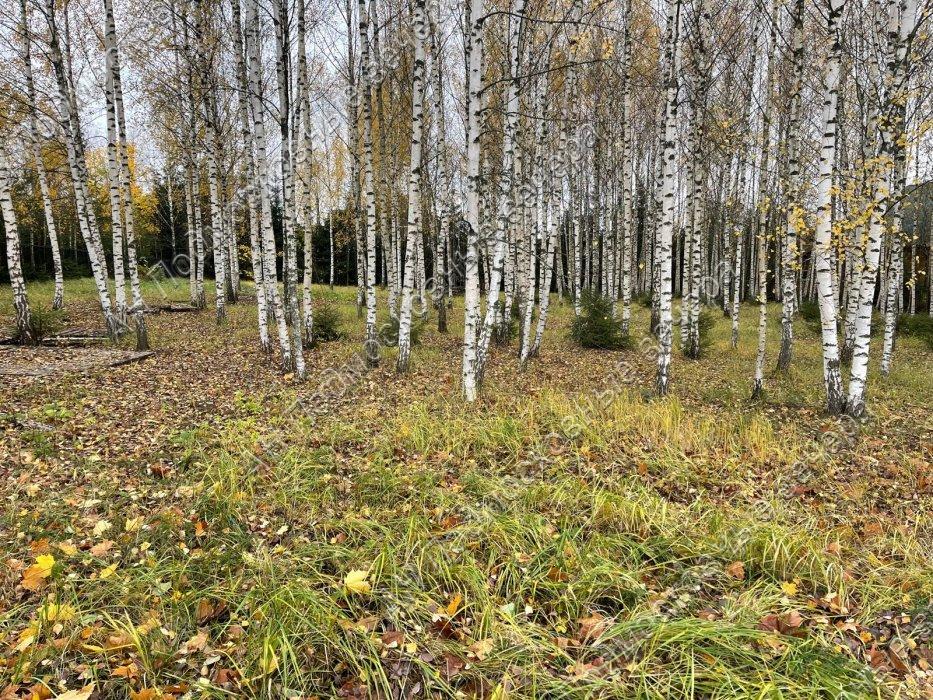 Продам участок в Истринском районе в Лисавино