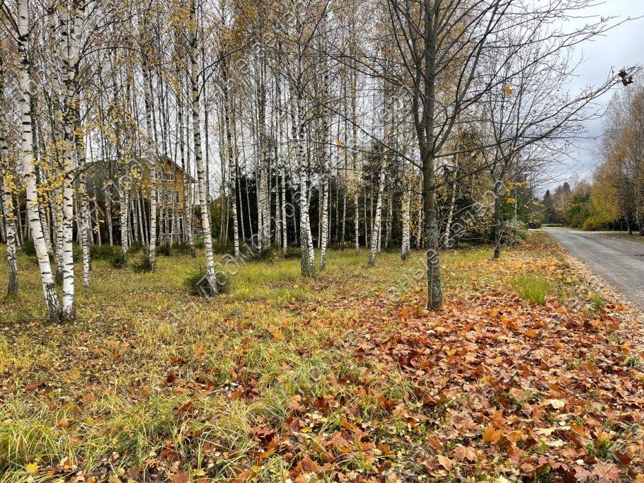 Продам участок в Истринском районе в Лисавино