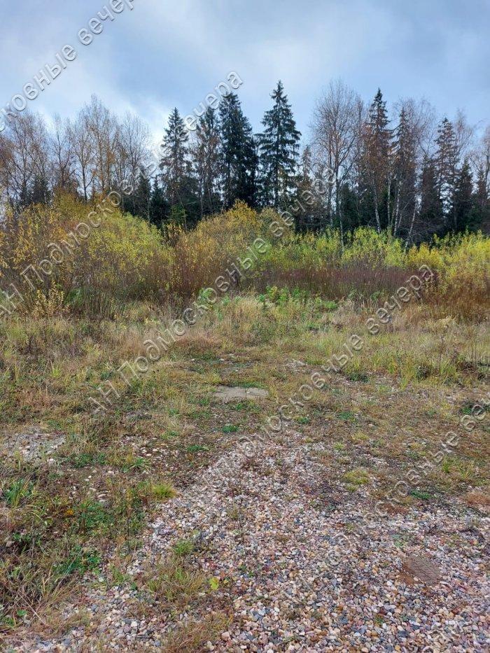 Продам участок в Дмитровском районе в Редькино