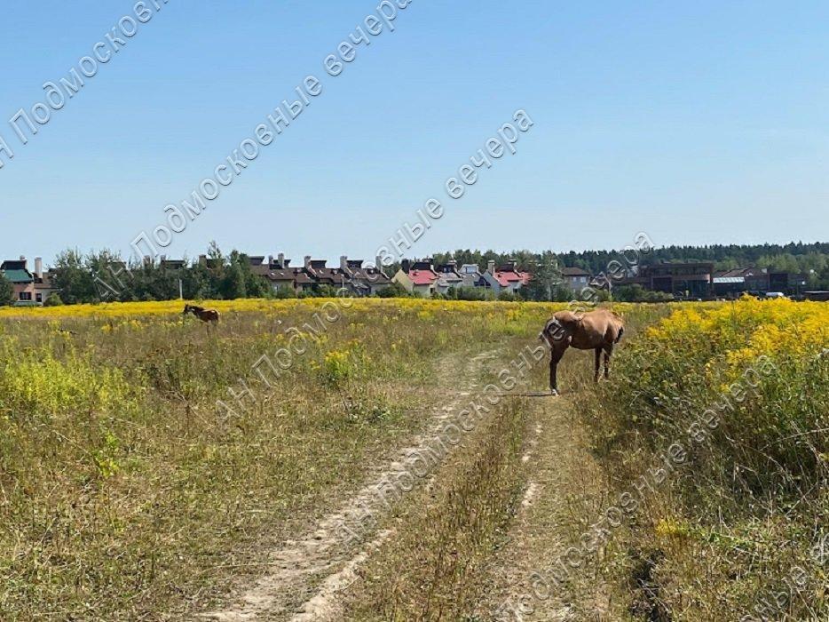 Продам участок в Солнечногорском районе в Голиково