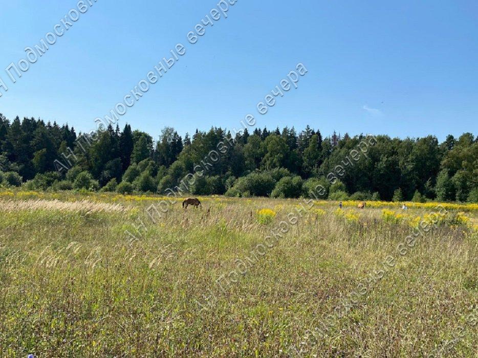 Продам участок в Солнечногорском районе в Голиково