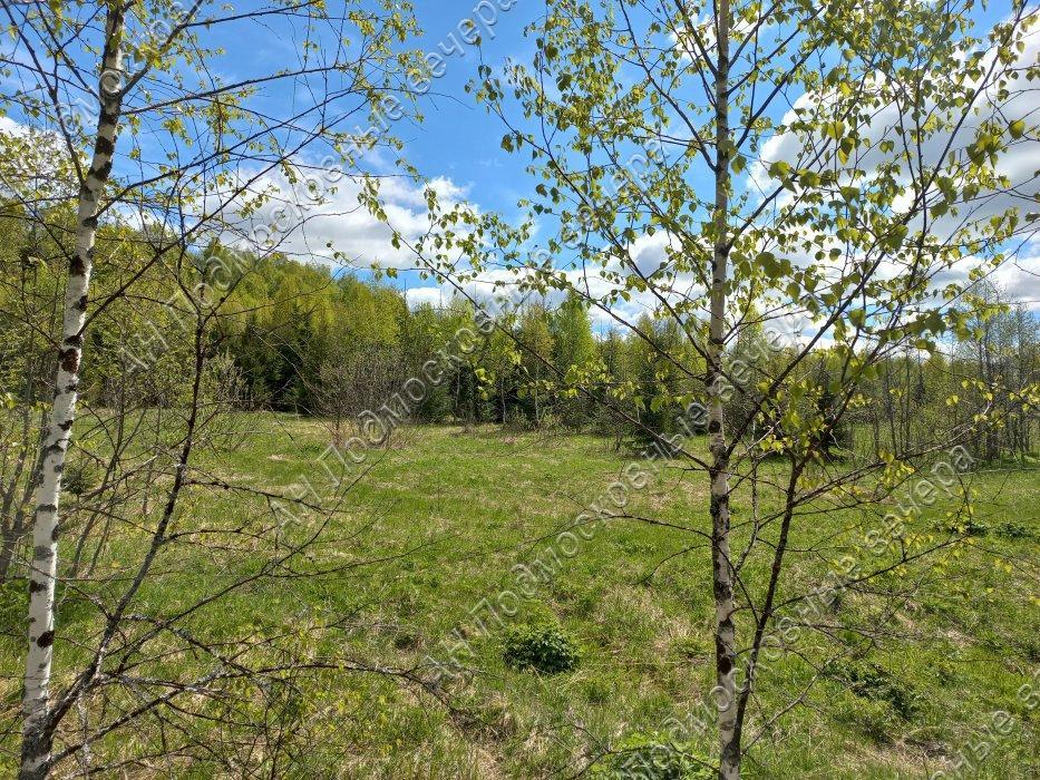 Продам участок в Рузском районе в Новая