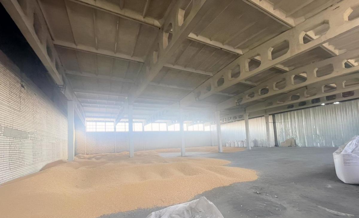 Продам склад в Грибановском районе