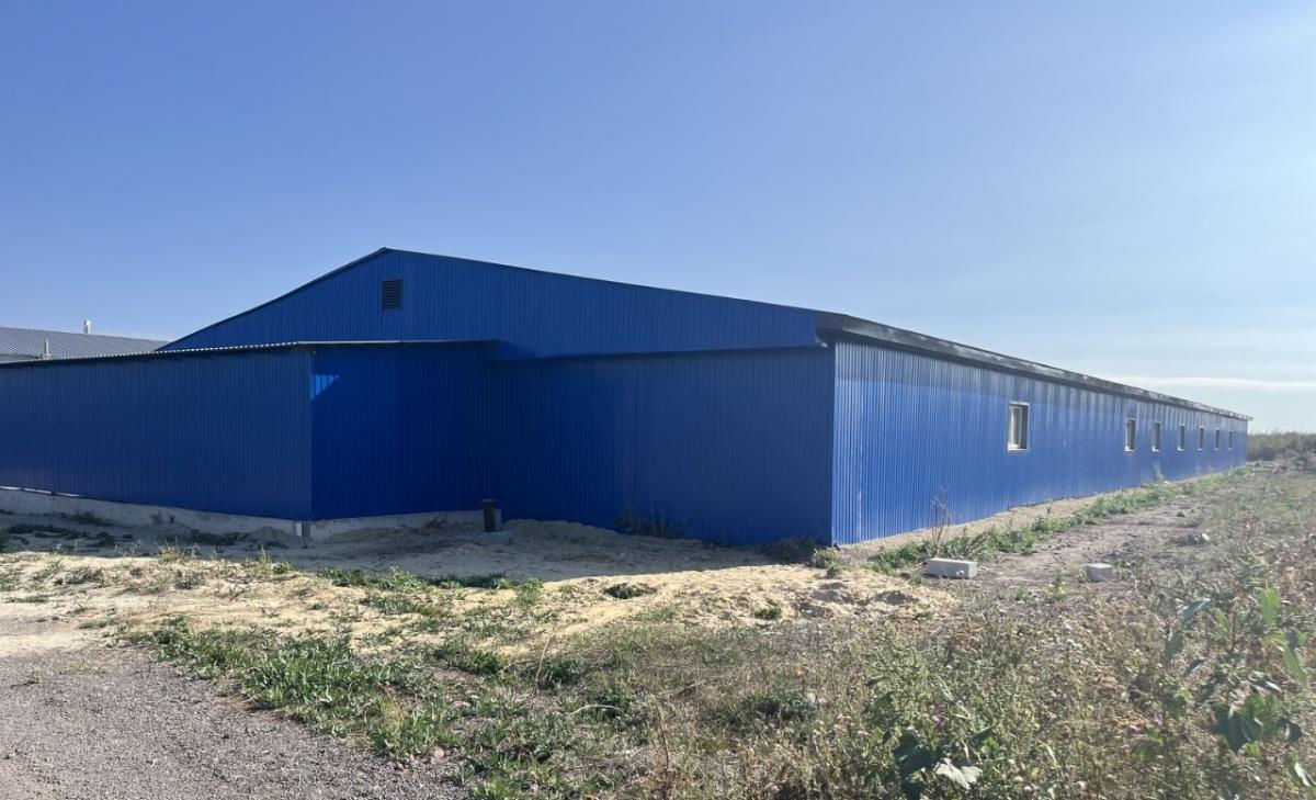 Продам производственное помещение в Новоусманском районе