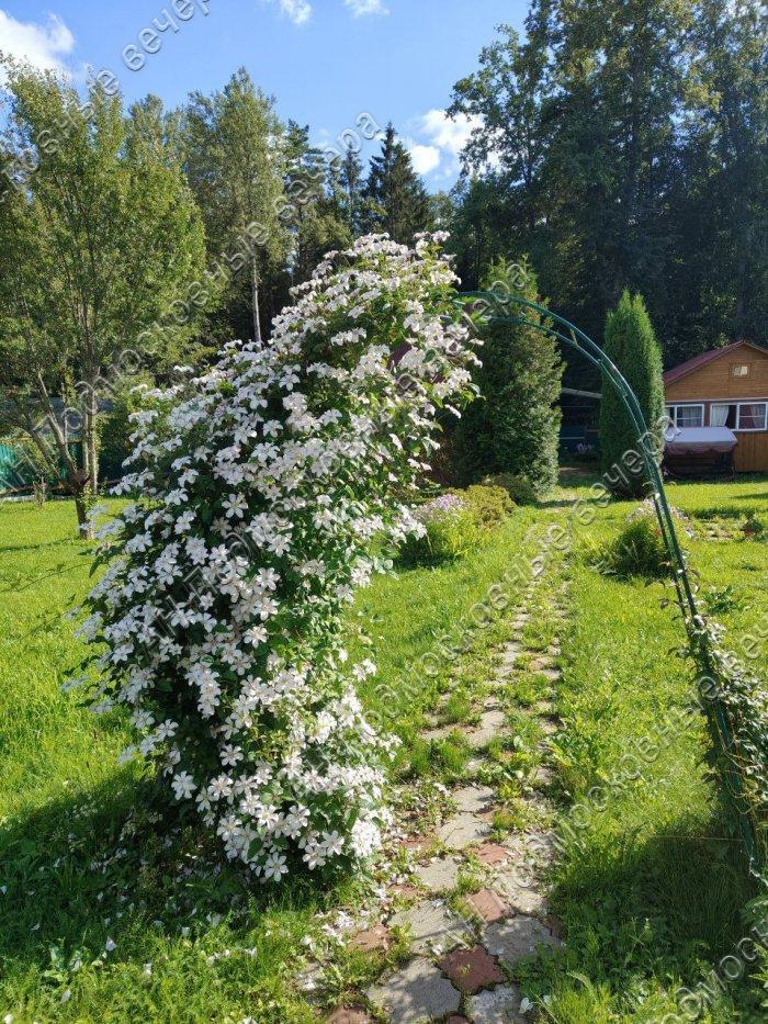 Продам дачу в Денежниково