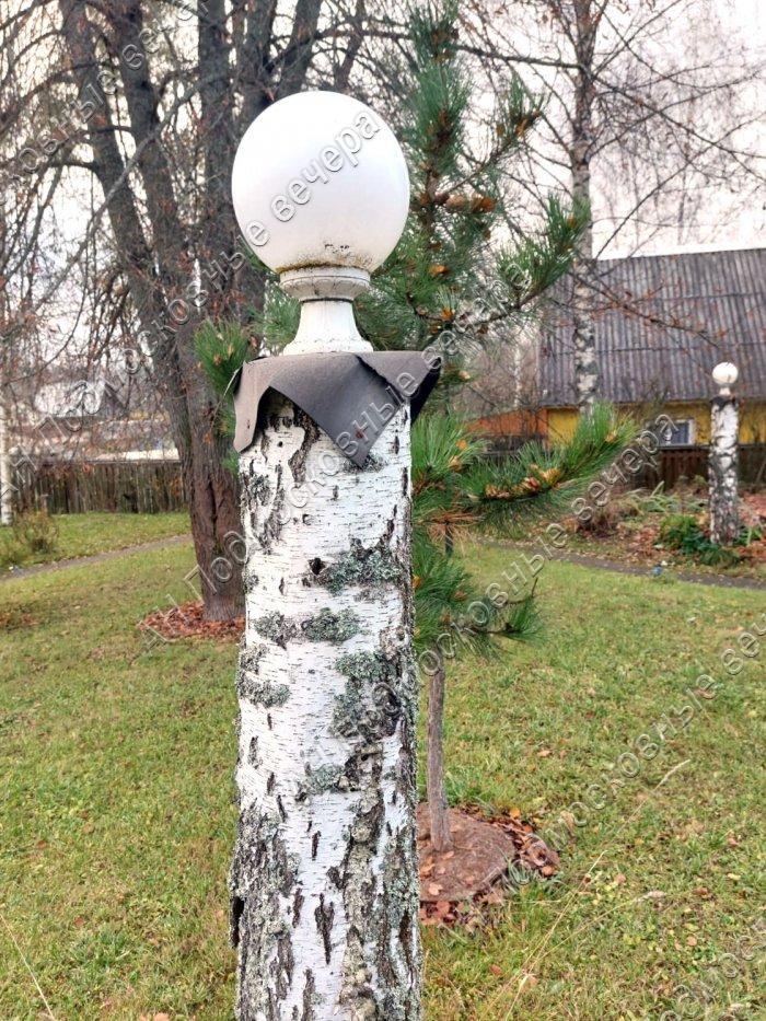 Продам дачу в Солнечногорском районе в Турицино