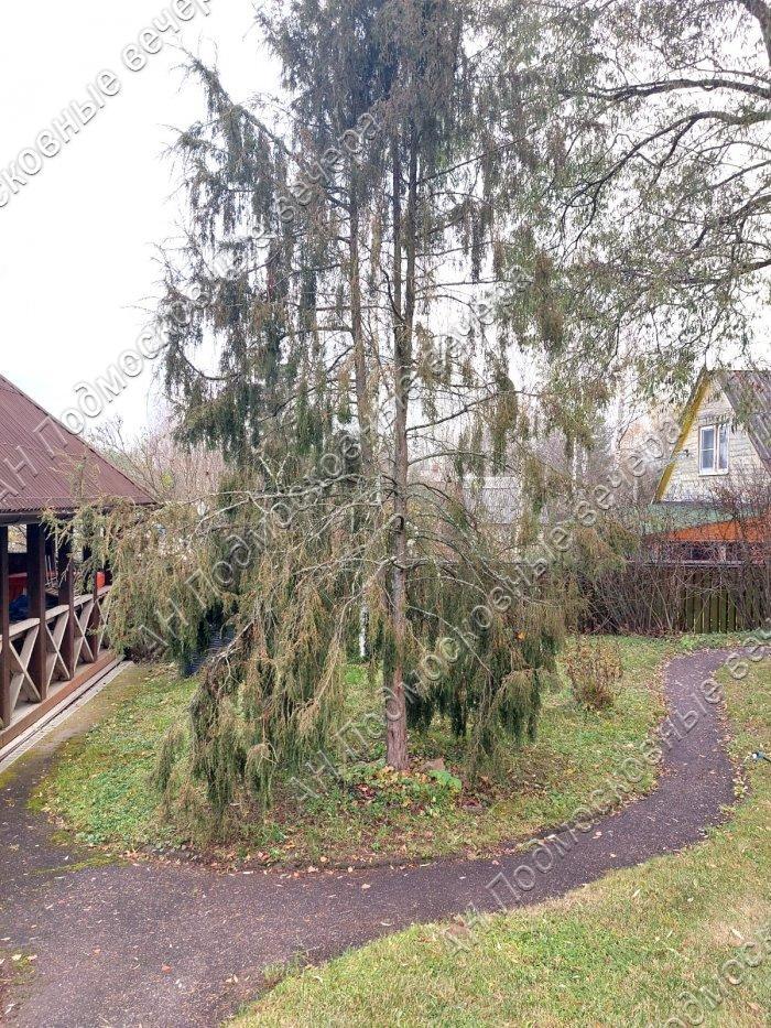 Продам дачу в Солнечногорском районе в Турицино