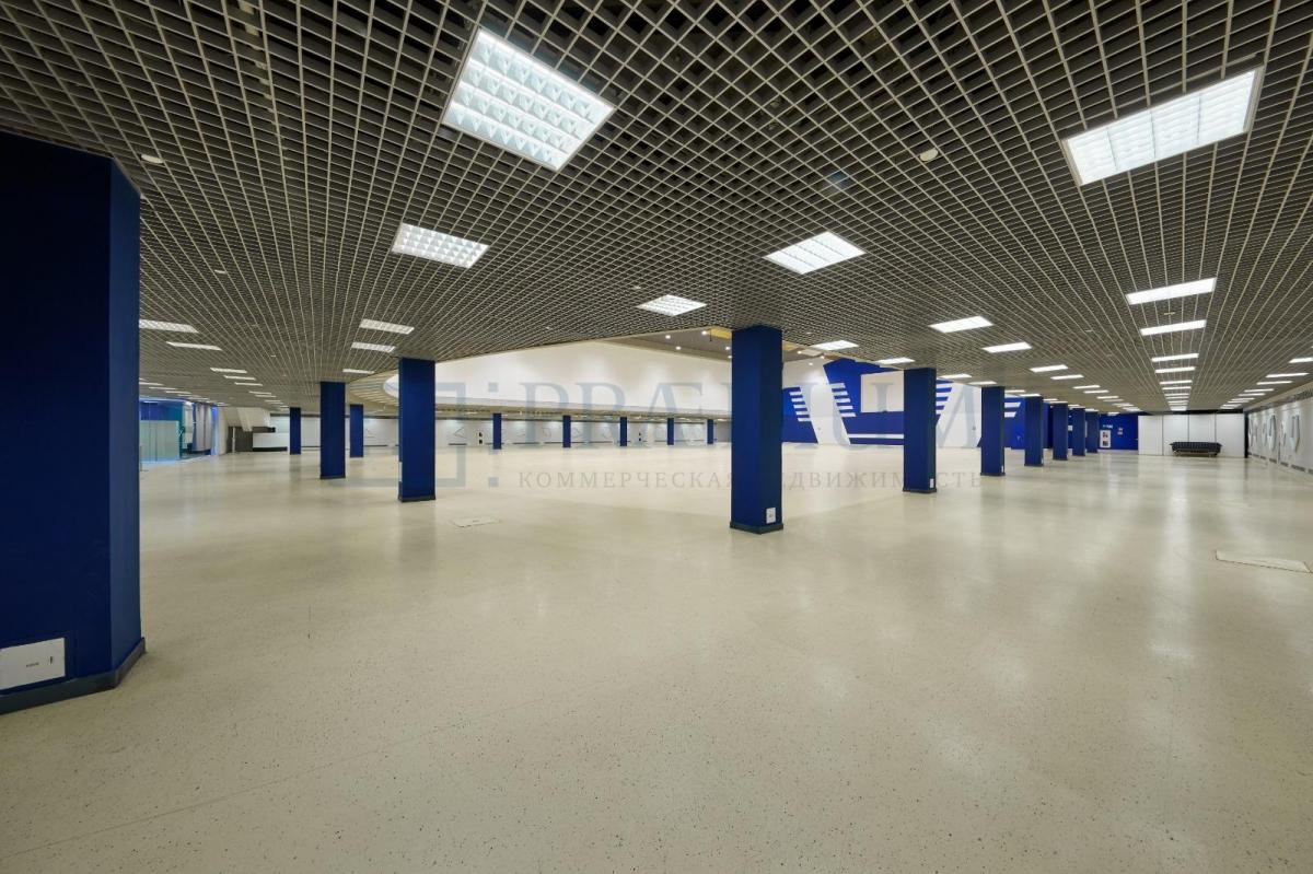 Сдается офис в Москве, д 119 стр 55