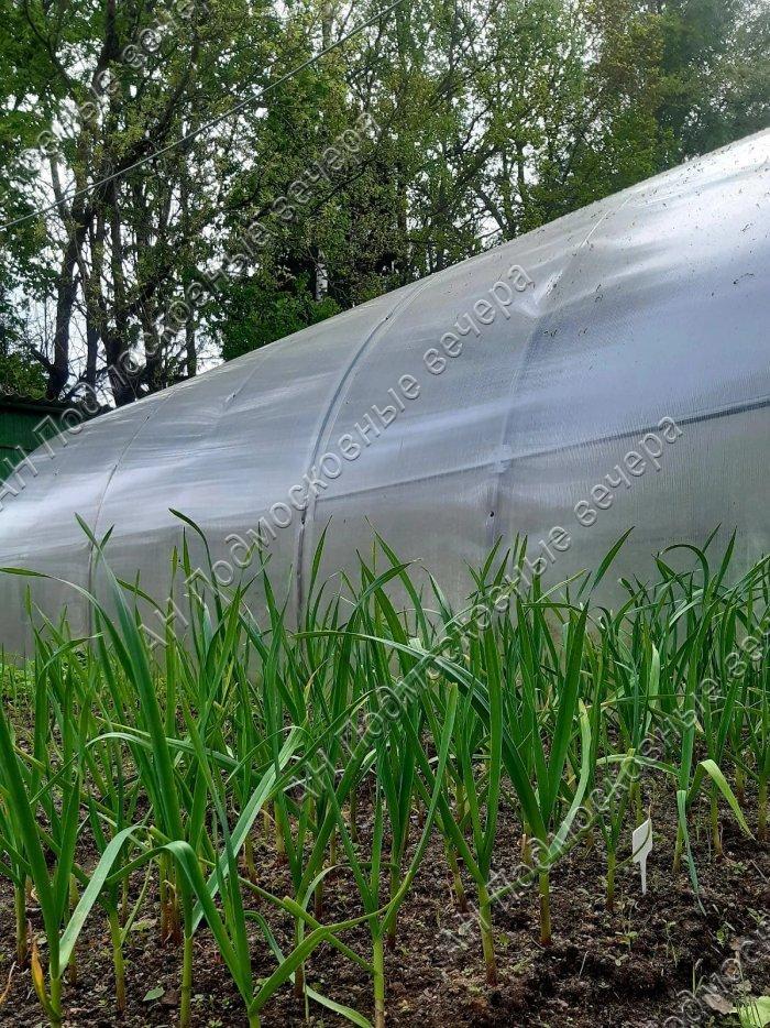 Продам дачу в Покровское