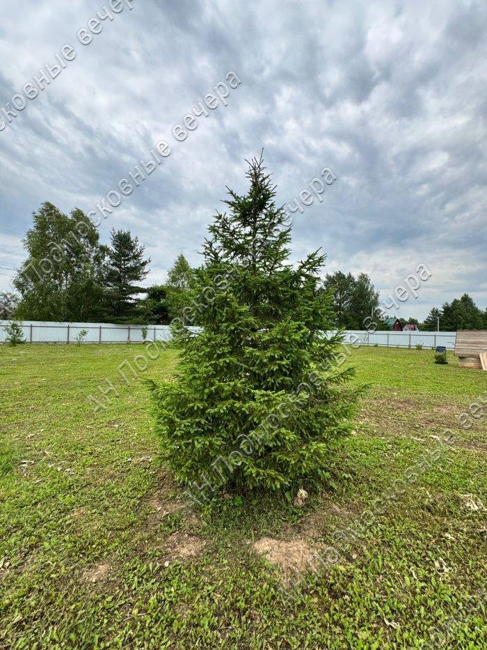 Продам участок в Авдотьино