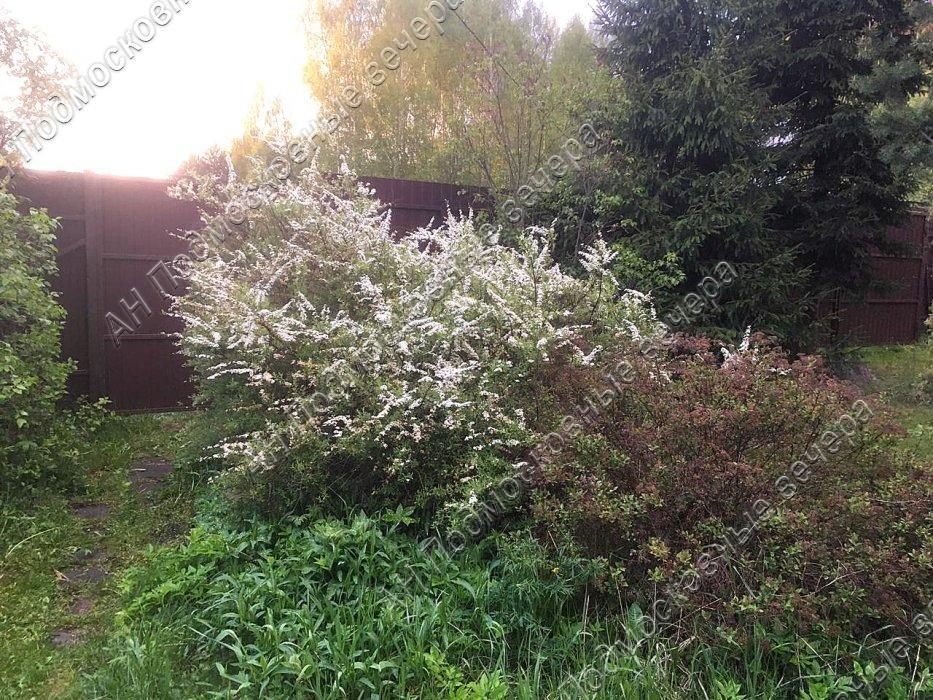 Продам дачу в Сафонтьево