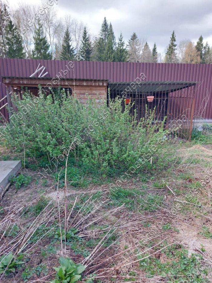 Продам дачу в Космынка