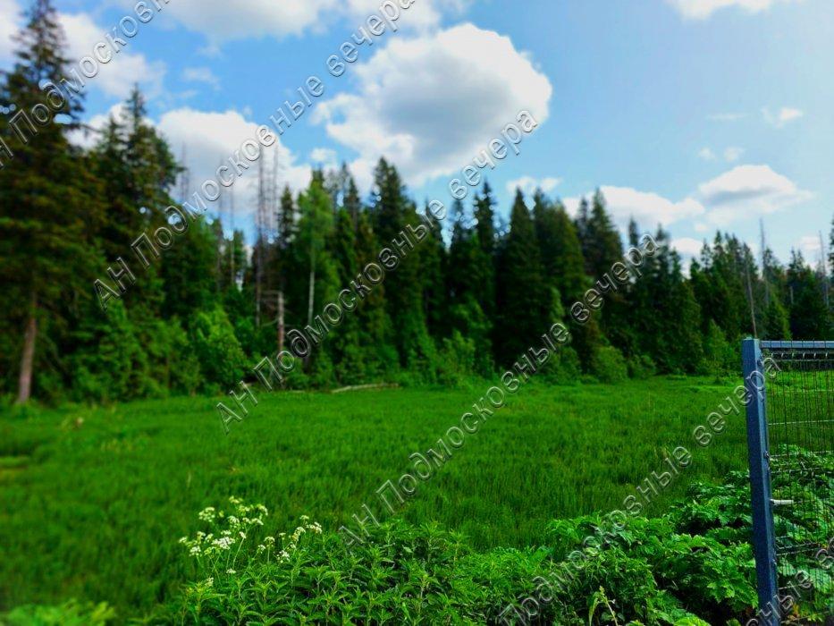 Продам участок в Солнечногорском районе в Мелечкино