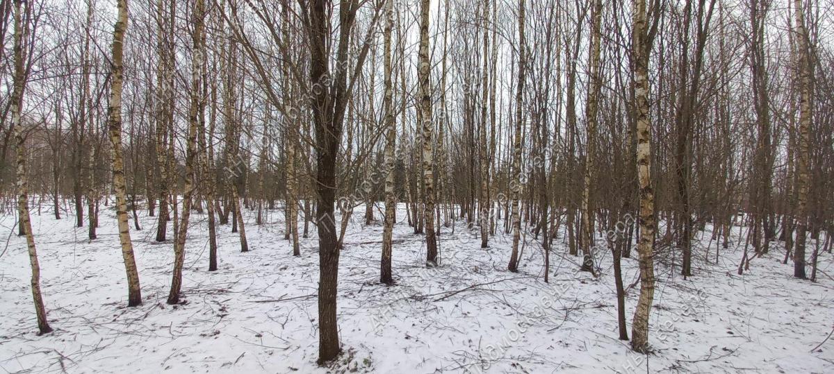 Продам участок в Авдотьино