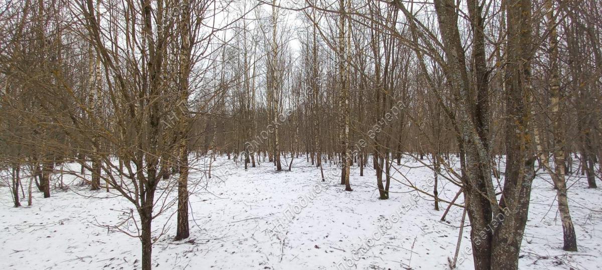 Продам участок в Авдотьино