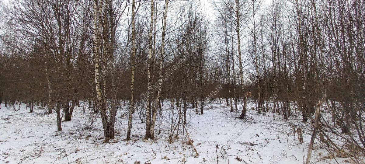 Продам участок в Авдотьино