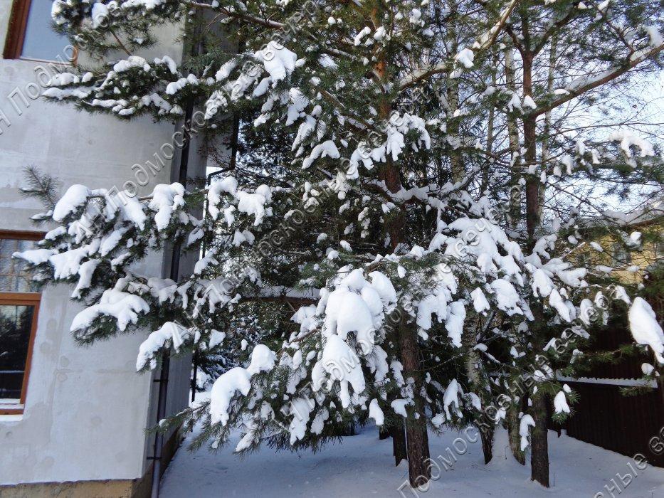 Продам коттедж  в Истринском районе в Садки