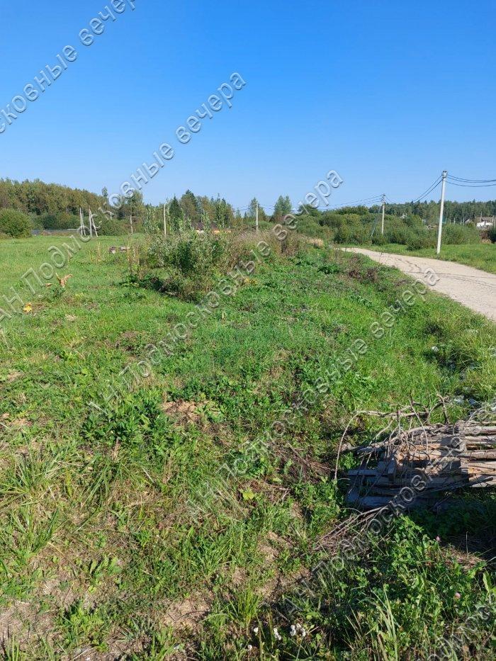 Продам участок в Дмитровском районе в Редькино