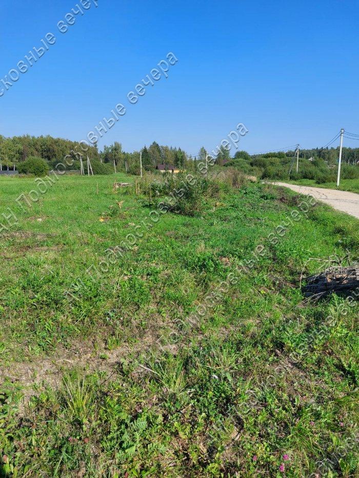 Продам участок в Дмитровском районе в Редькино