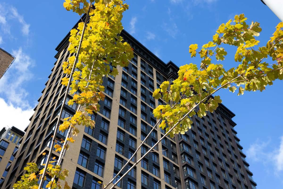 Продам торговое помещение в Москве, д 9