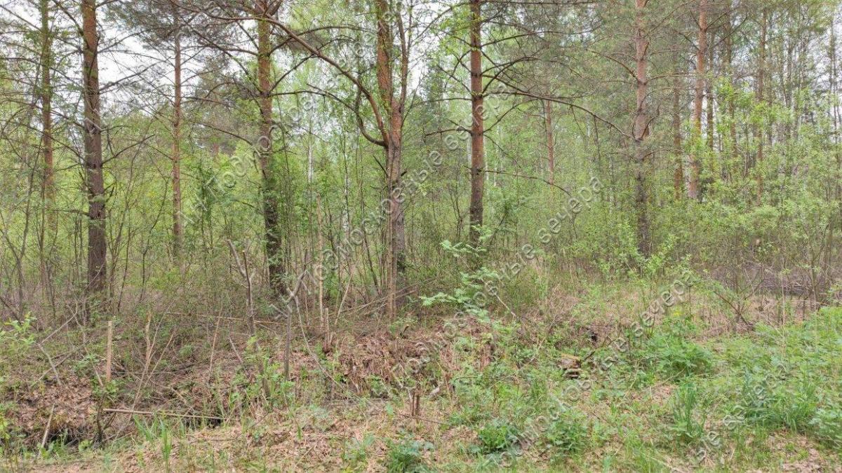 Продам участок в Клинском районе в Синьково