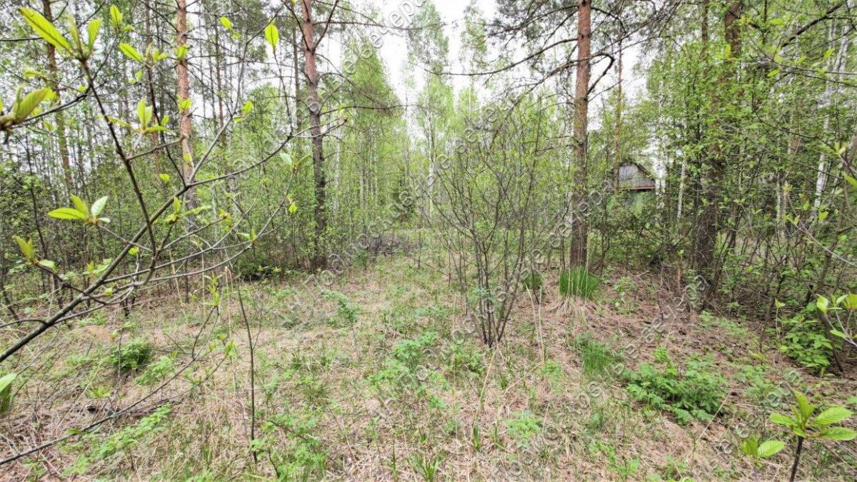 Продам участок в Клинском районе в Синьково